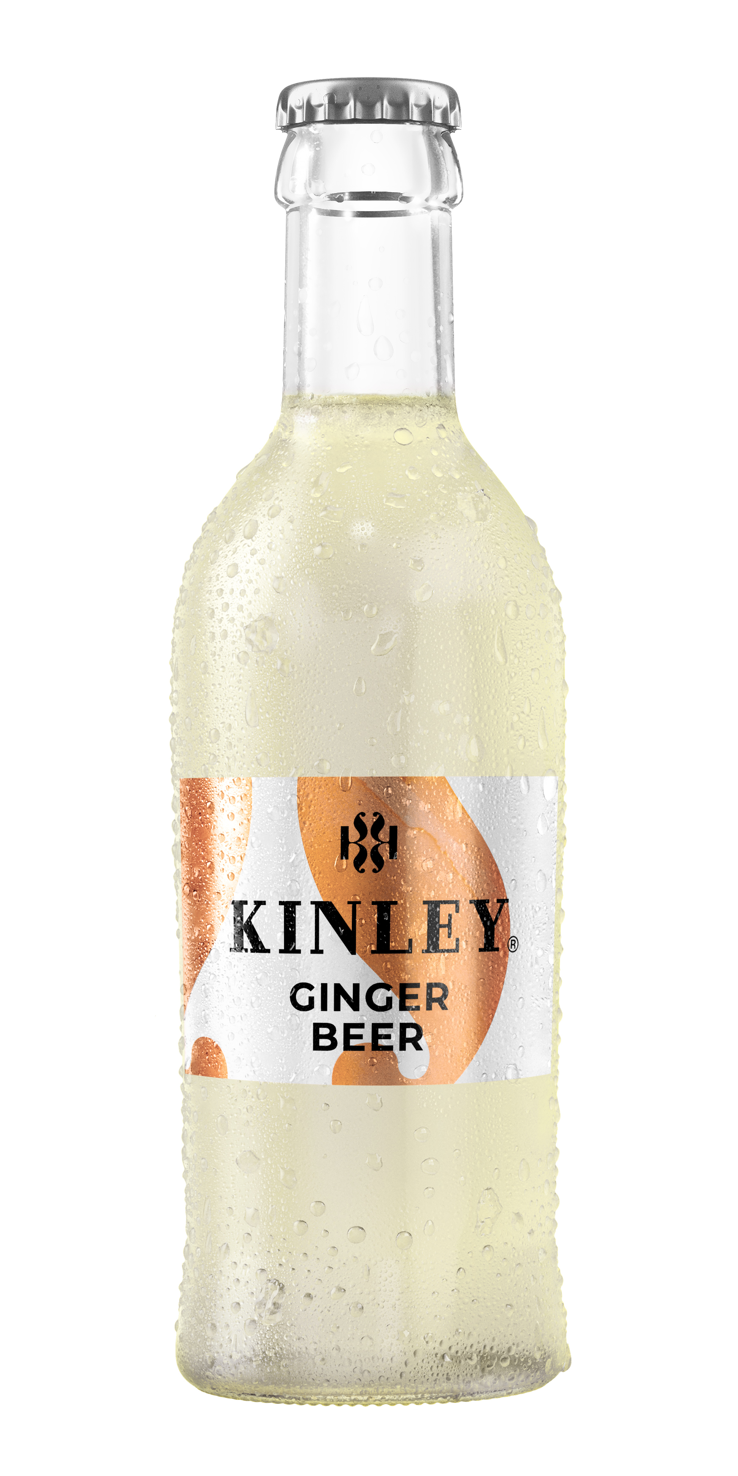 Ginger Beer 250ml_2