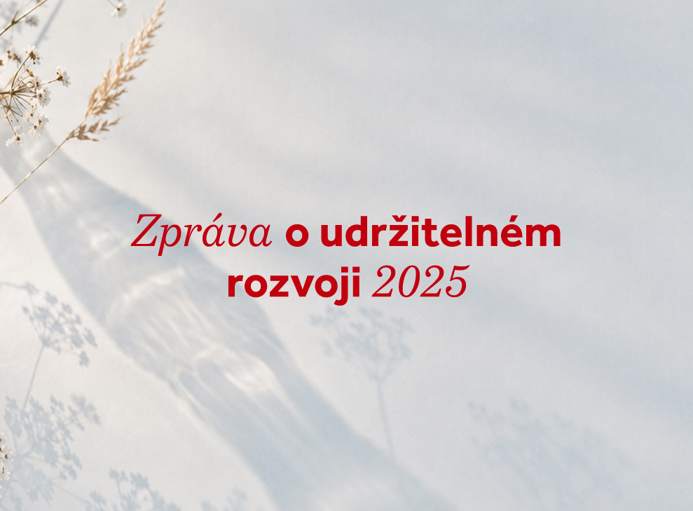 csr_2025_cover
