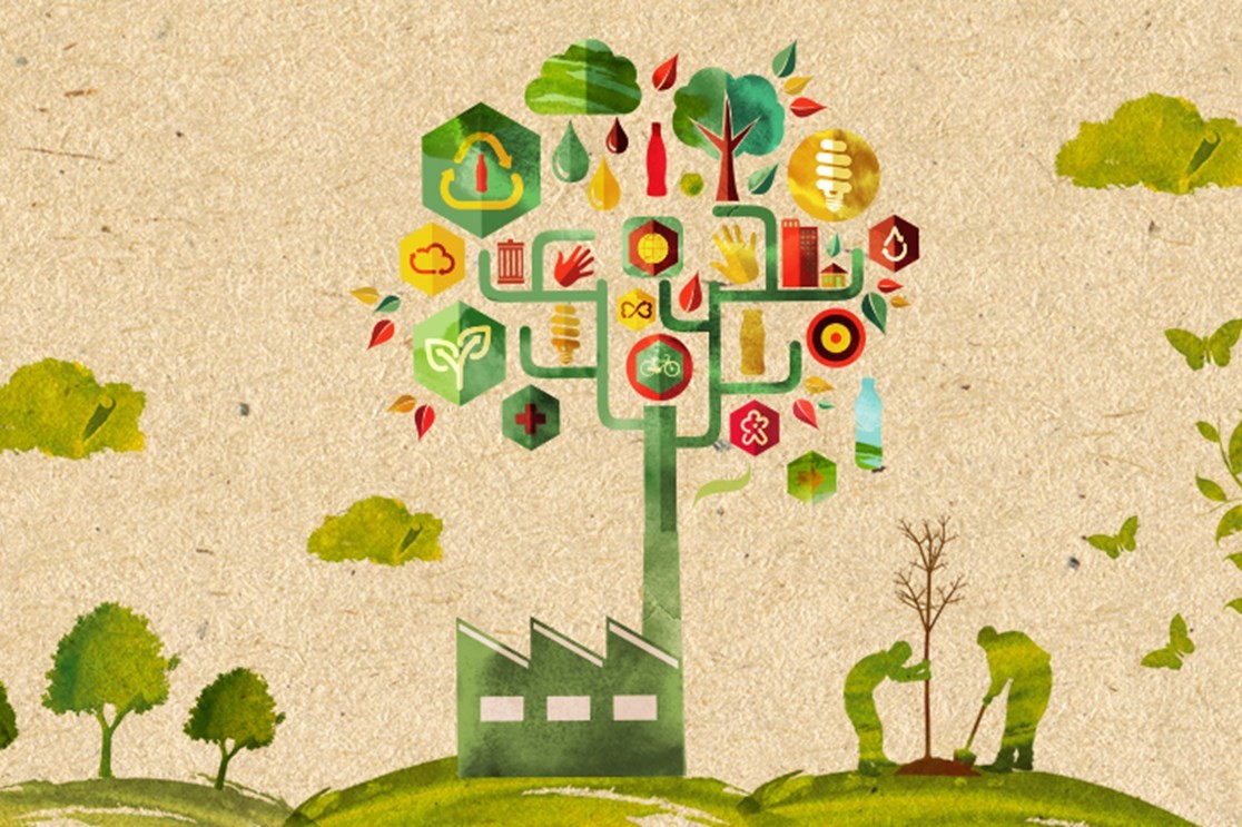 sustainability-pic-graphics