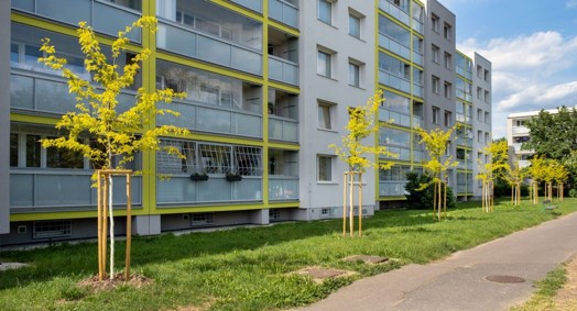 Mokřad