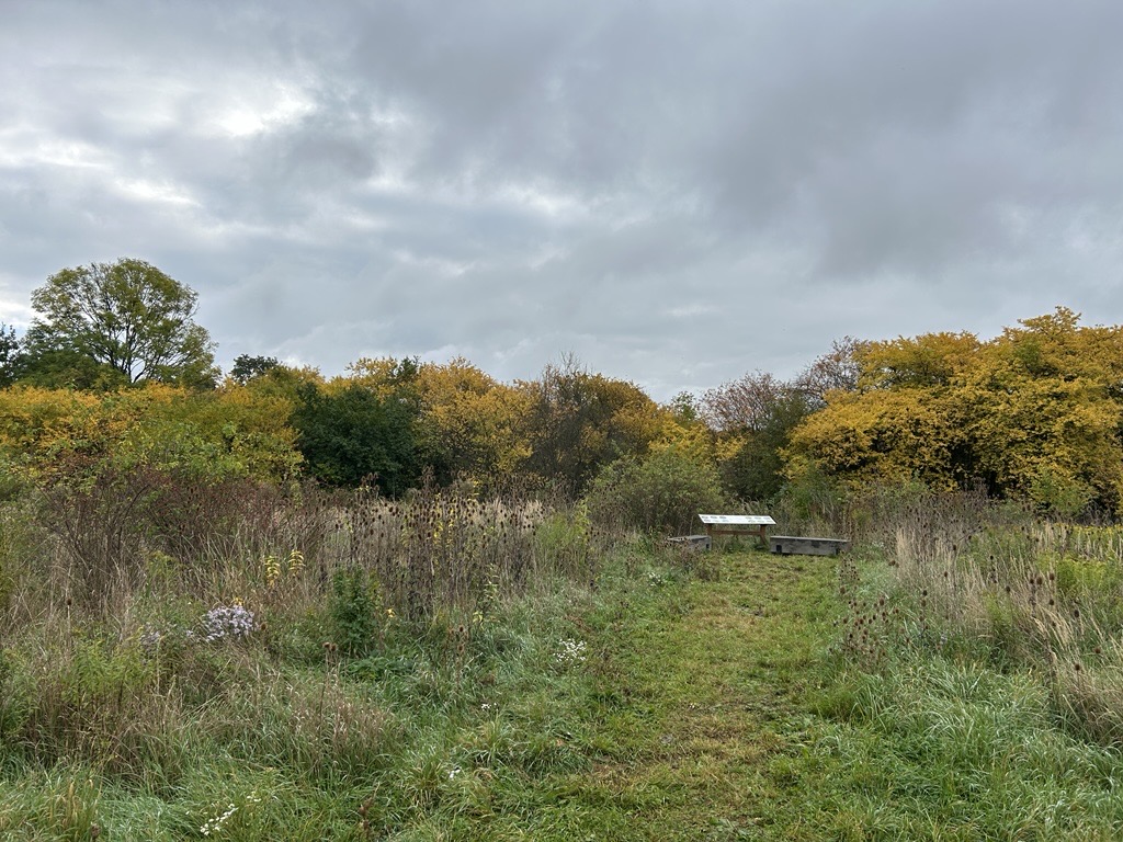 wetland tours (5)