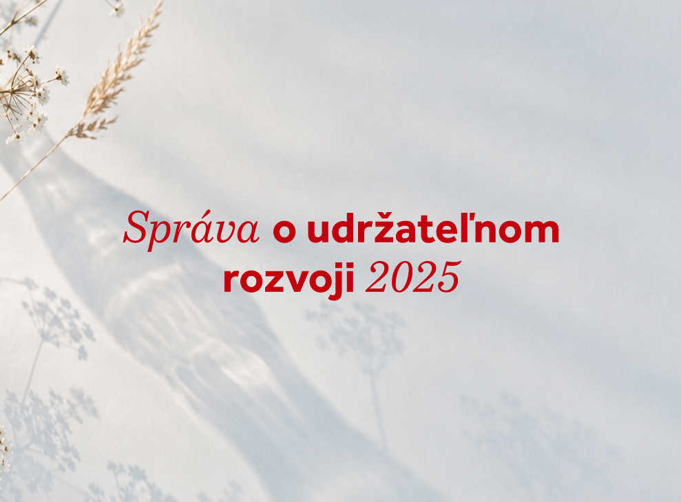 csr_2025_header_small