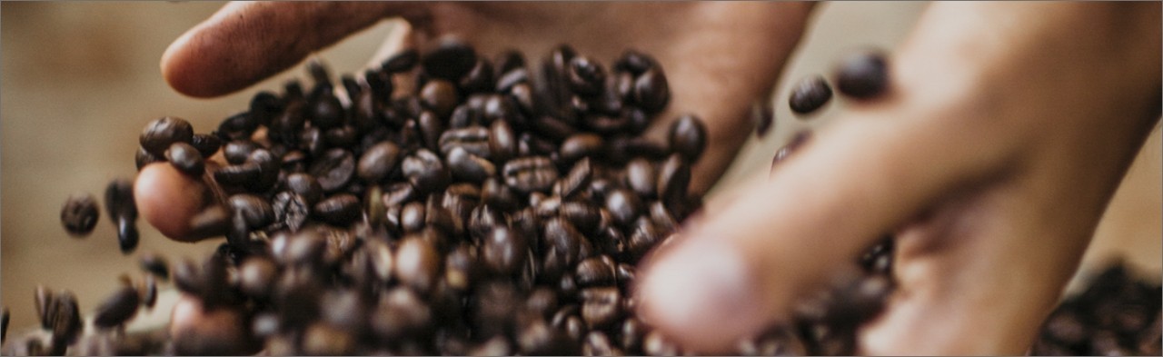 coffee banner_2732x840